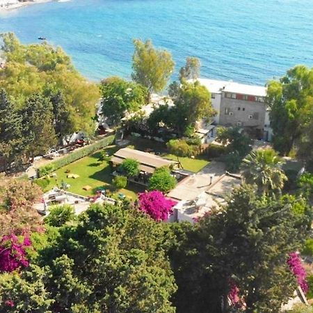 Myndos Bed & Breakfast Bodrum Extérieur photo