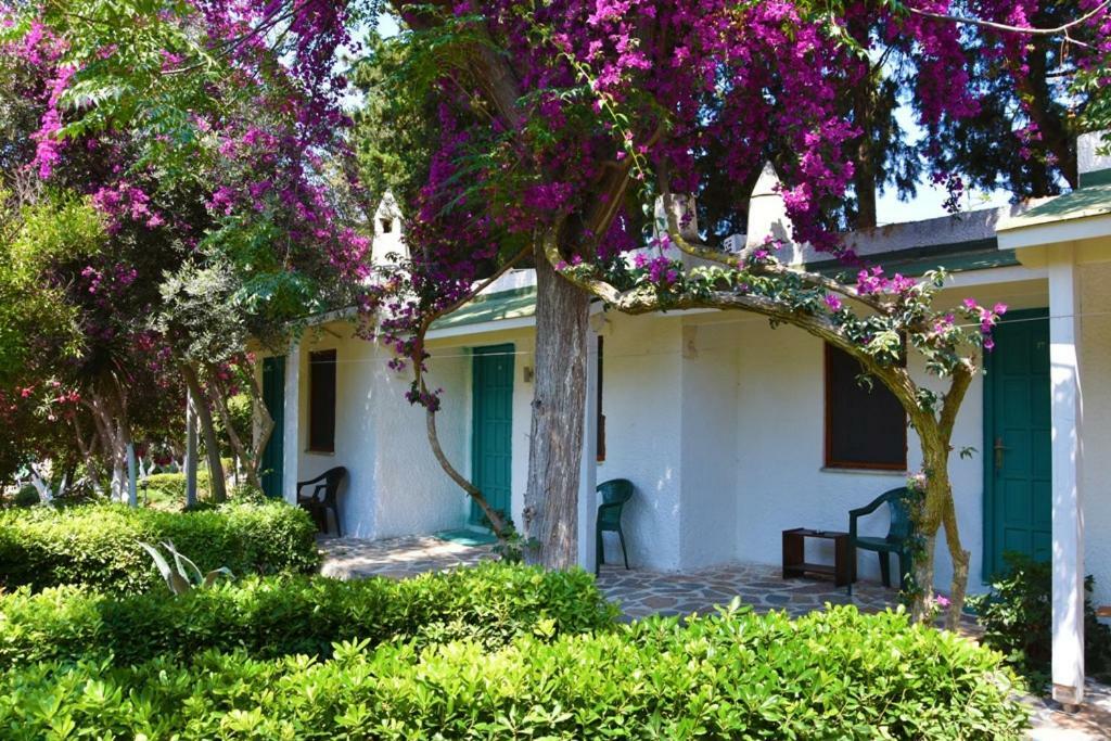 Myndos Bed & Breakfast Bodrum Extérieur photo